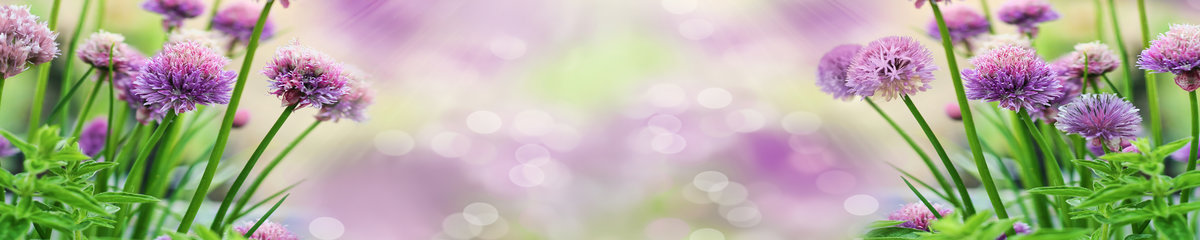 Virtuves panelis dizains SPJ 009